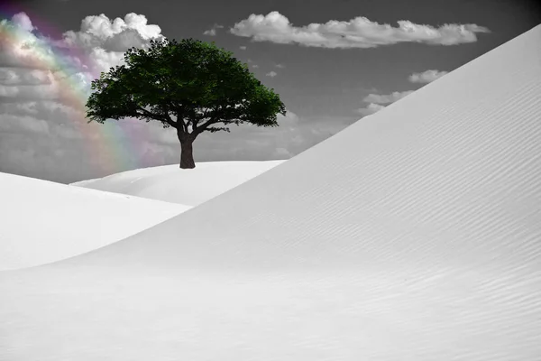 Green Tree Surreal Desert Rendering — Stock Photo, Image