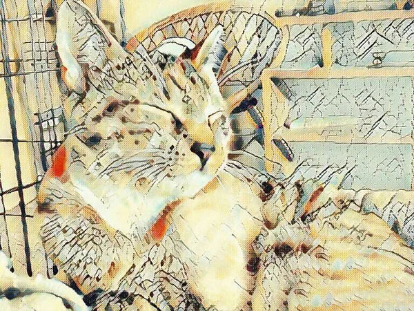 Σύγχρονη Ζωγραφική Των Οικόσιτων Ζώων Γάτα — Φωτογραφία Αρχείου