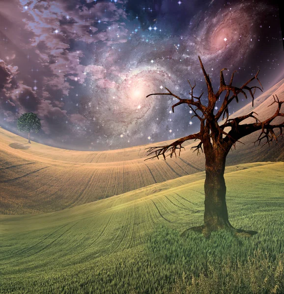 Modern Sanat Özeti. 3B görüntüleme