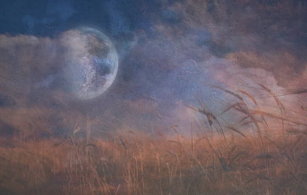 Moon Fall Field Grain — 图库照片