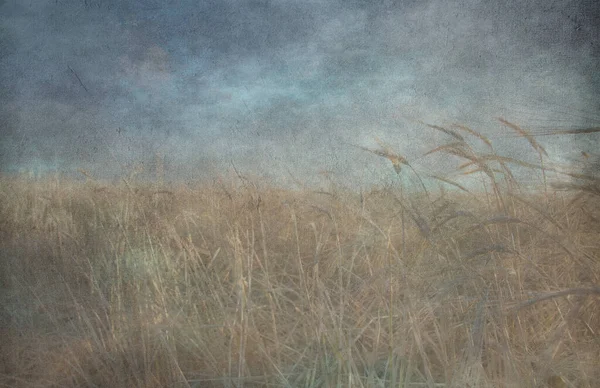 Grunge Pastel Field Rendering — Stock Photo, Image