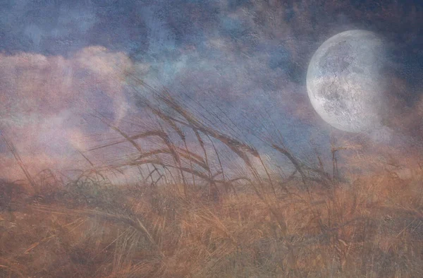 Moon Fall Field Grain — Stockfoto