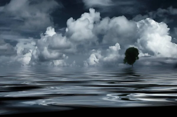 Nuvens Árvores Água Reflectora — Fotografia de Stock