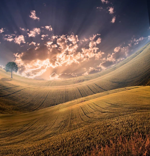 Paisagem Serena Com Céu Dramático — Fotografia de Stock