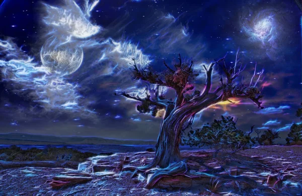 Desert Tree Night Digital Abstraction — 图库照片