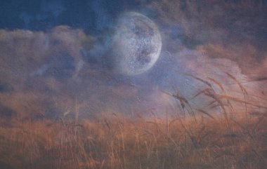 Ay, Tahıl Tarlasına Düşüyor