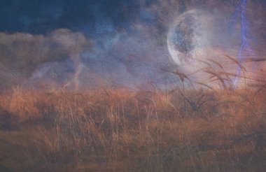 Ağır Dokulu Yıldırım Çarpması ve Tahıl Alanı