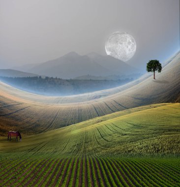 Dağlı Huzurlu Manzara