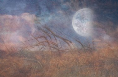 Ay, Tahıl Tarlasına Düşüyor