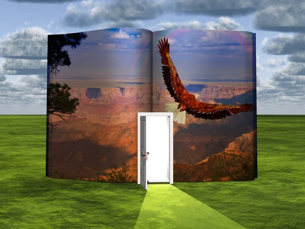 Surrealism Book Opened Door Eagle Flies Grand Canyon — Stock Photo, Image