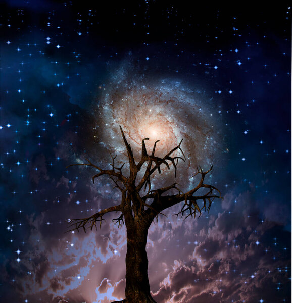 Surreal tree and galaxy. 3D rendering