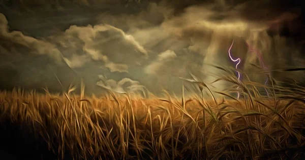 Картина Маслом Бурі Хмари Блискавкою Над Полем Пшениці — стокове фото