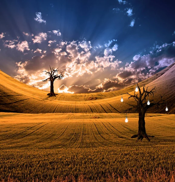 Paisaje Con Árbol Frutal Bulbo — Foto de Stock