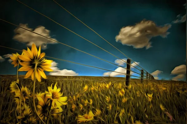 Schilderen Gele Zonnebloemen Het Veld — Stockfoto
