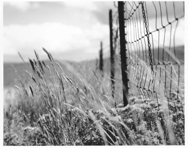 Fence Field Rendering — Stock Photo, Image