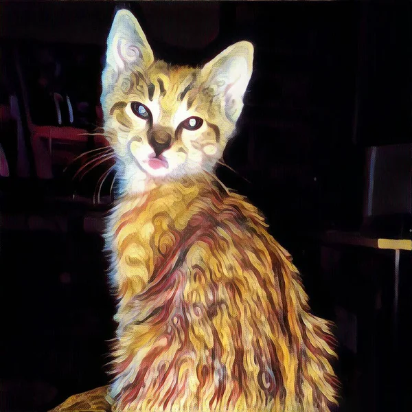 Digital Målning Katt Rendering — Stockfoto