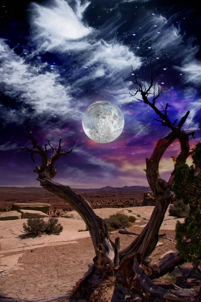 Desert Tree Horizon Rendering — Stock Photo, Image