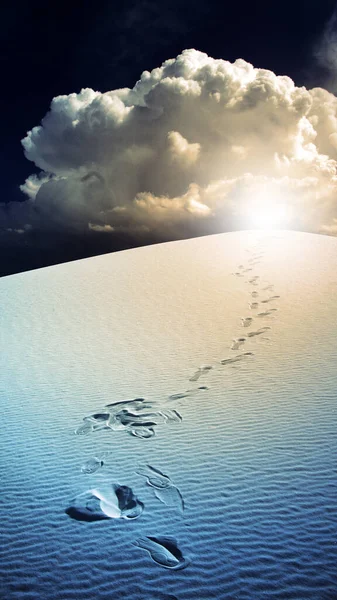 Footprints Desert White Sands New Mexico Usa — Stock Photo, Image