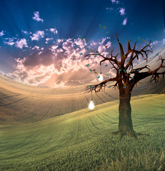 Paesaggio Con Bulbo Albero Frutto — Foto Stock