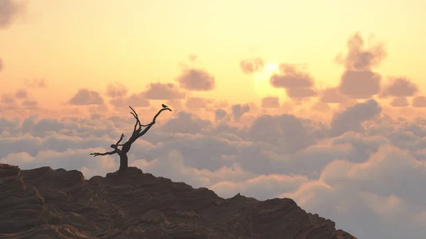 Sonnenaufgang Berg Vogel Auf Einem Trockenen Ast — Stockfoto