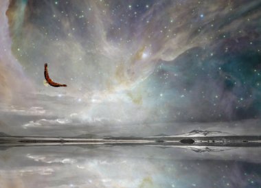 Gece Gökteki New Mexico Kartalı