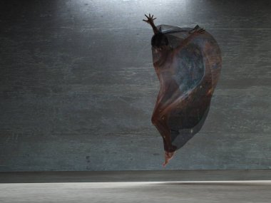 Şeffaf kumaşlı aksiyon kızı. 3B görüntüleme