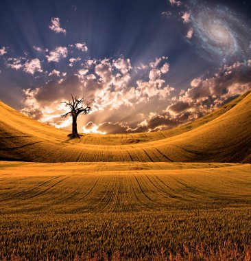 dramatik gökyüzü ile sakin manzara