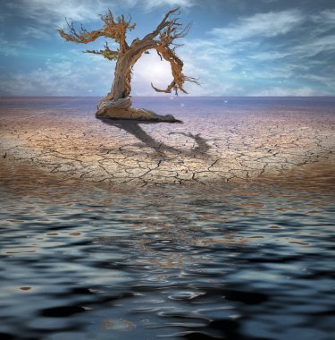 Desert Flood and tree. 3D rendering