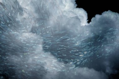 Fish in the clouds,Modern Art Abstract. 3D rendering