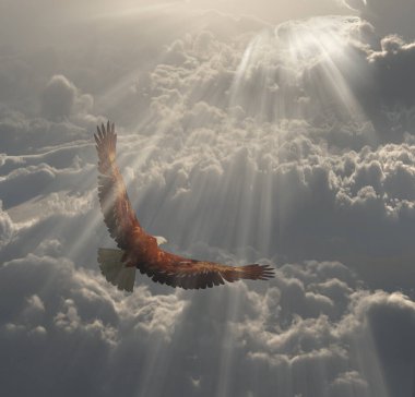 Eagle in Flight Above the Clouds clipart