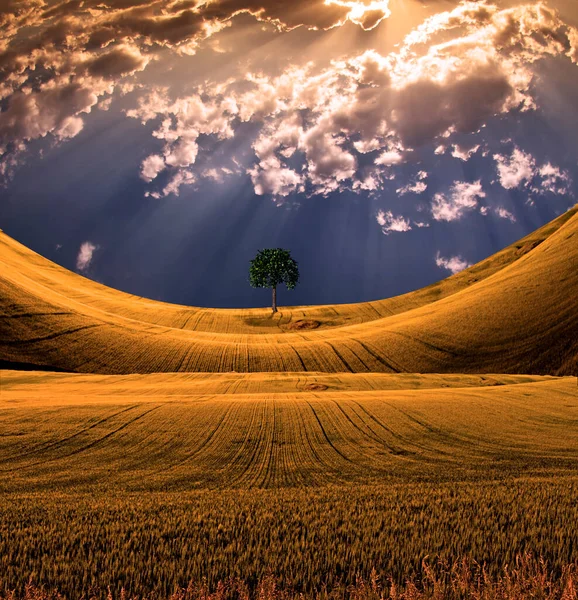 Paesaggio Sereno Con Cielo Drammatico — Foto Stock