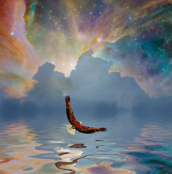 Kartal Yıldızlı Gökyüzü Ile Suyun Üzerinde Uçuyor — Stok fotoğraf