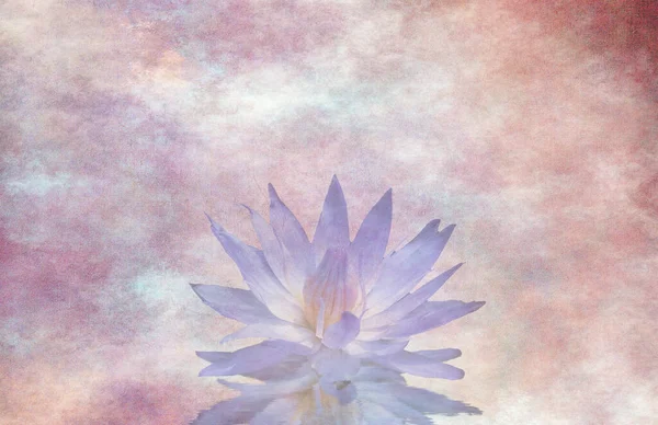 Pastel Lotusmålning Rendering — Stockfoto