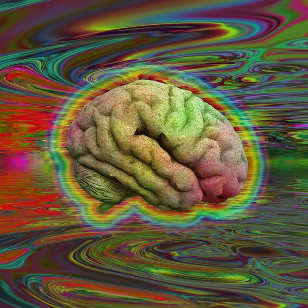 Psychedelic Brain Rendering — Stock Photo, Image