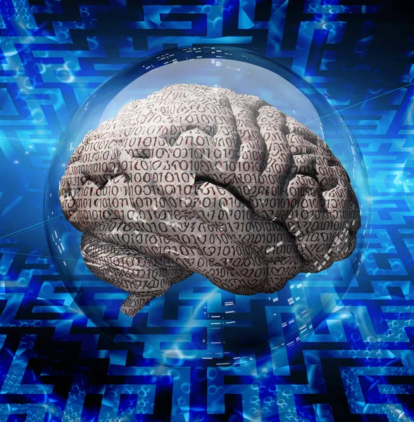 Binary Code Brain Rendering — Stock Photo, Image