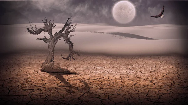 Arid Lands Desert Scene Rendering — ストック写真