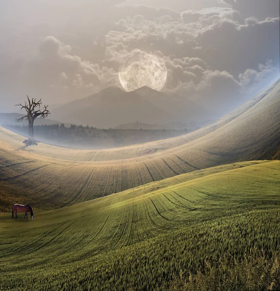 Peaceful Landscape Mountain — Stock Photo, Image