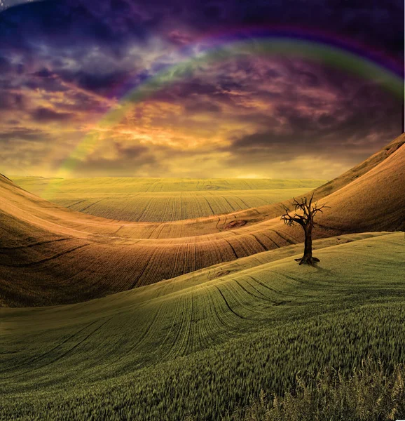 Paesaggio Sereno Con Cielo Drammatico — Foto Stock