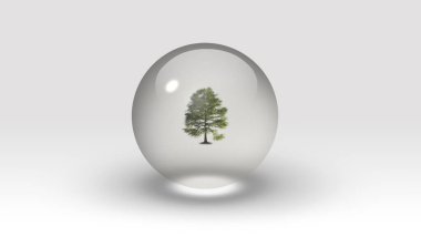 Kabarcık içindeki ağaç. 3B görüntüleme.