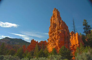 Büyük Kanyon. Güzel doğa sahnesi.