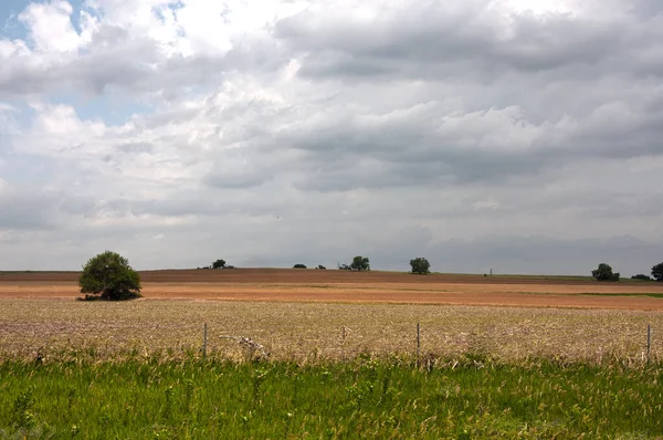 Beautiful Landscape Field Wheat Cloudy Sky — Stock Photo, Image