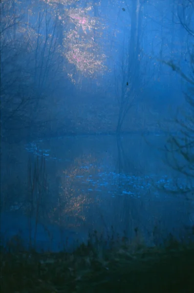 Abstrakt Naturlig Bakgrund Skogssjön — Stockfoto