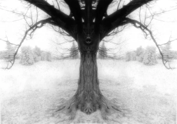 Arbre Effrayant Aux Branches Symétriques Rendu — Photo