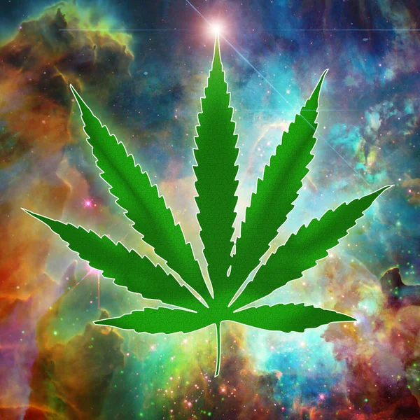 Marihuana Rostlina Listem Konopí Zelená Tráva — Stock fotografie