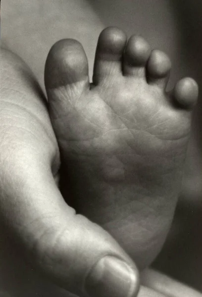 Close Baby Foot — Stock Photo, Image