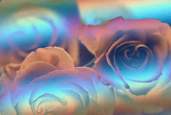 Fundo Brilhante Com Belas Flores Rosa — Fotografia de Stock