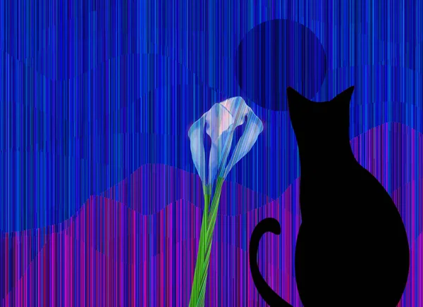 Cat Blue Background — Fotografia de Stock