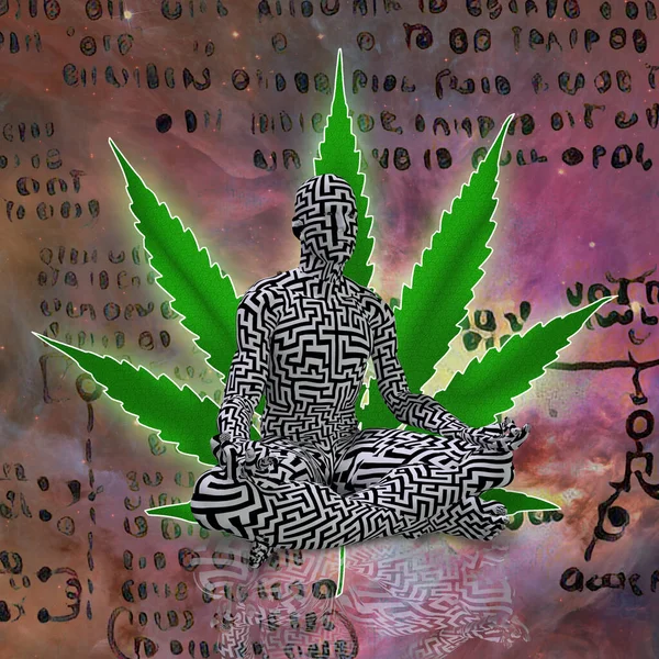 Marijuana Plant Cannabis Leaf Green Weed — Stock Fotó