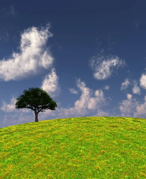 Boom Groen Landschap Weergave — Stockfoto