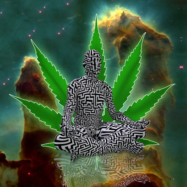 Marijuana Plant Cannabis Leaf Green Weed — Stock Photo, Image